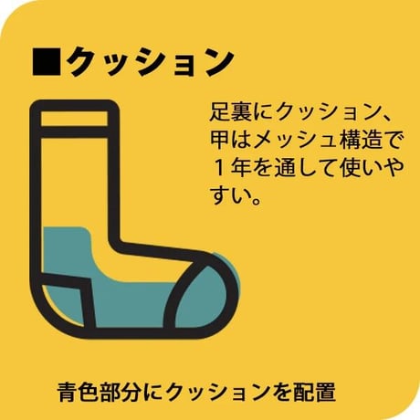【DARN TOUGH（ダーンタフ）】ダーンタフ ウィメンズ 1907 ハイカーブーツソック ミッドウェイトクッション