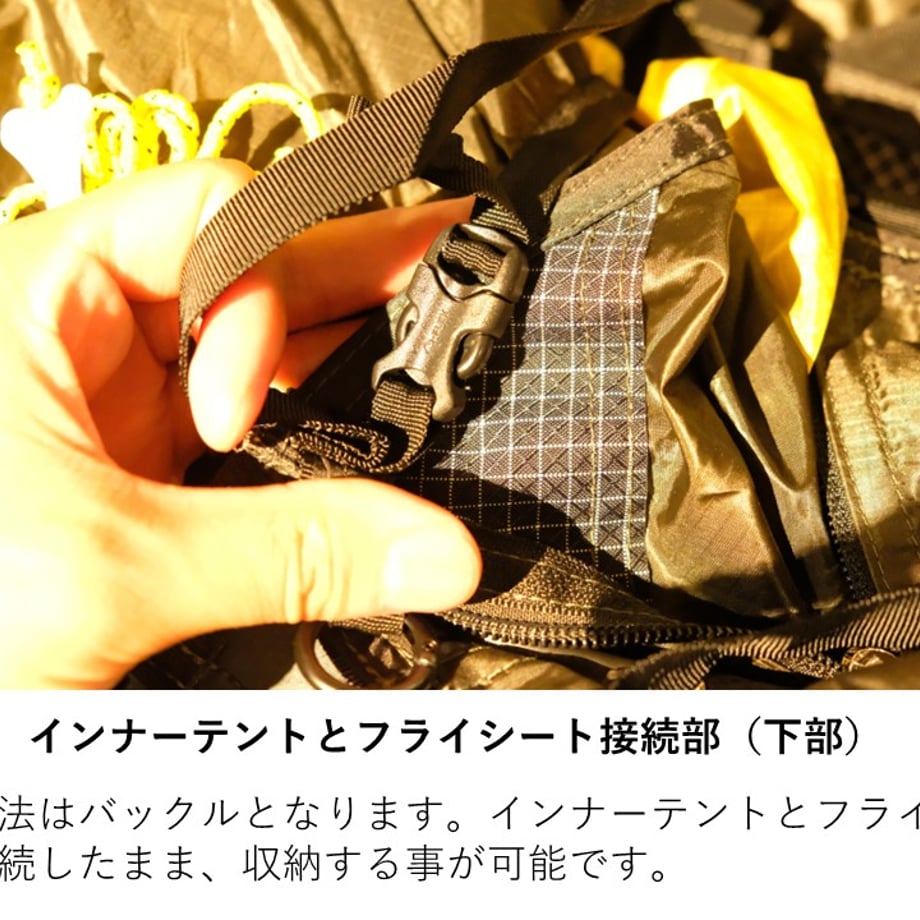 66b5a9a795624d02c03fd9a1