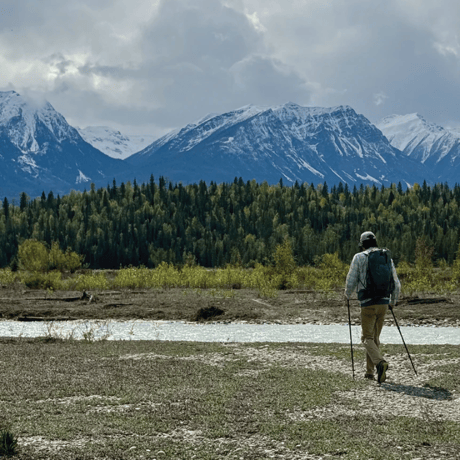 【DURSTON GEAR（ダーストンギア）】Iceline Trekking Poles（ストラップVer）
