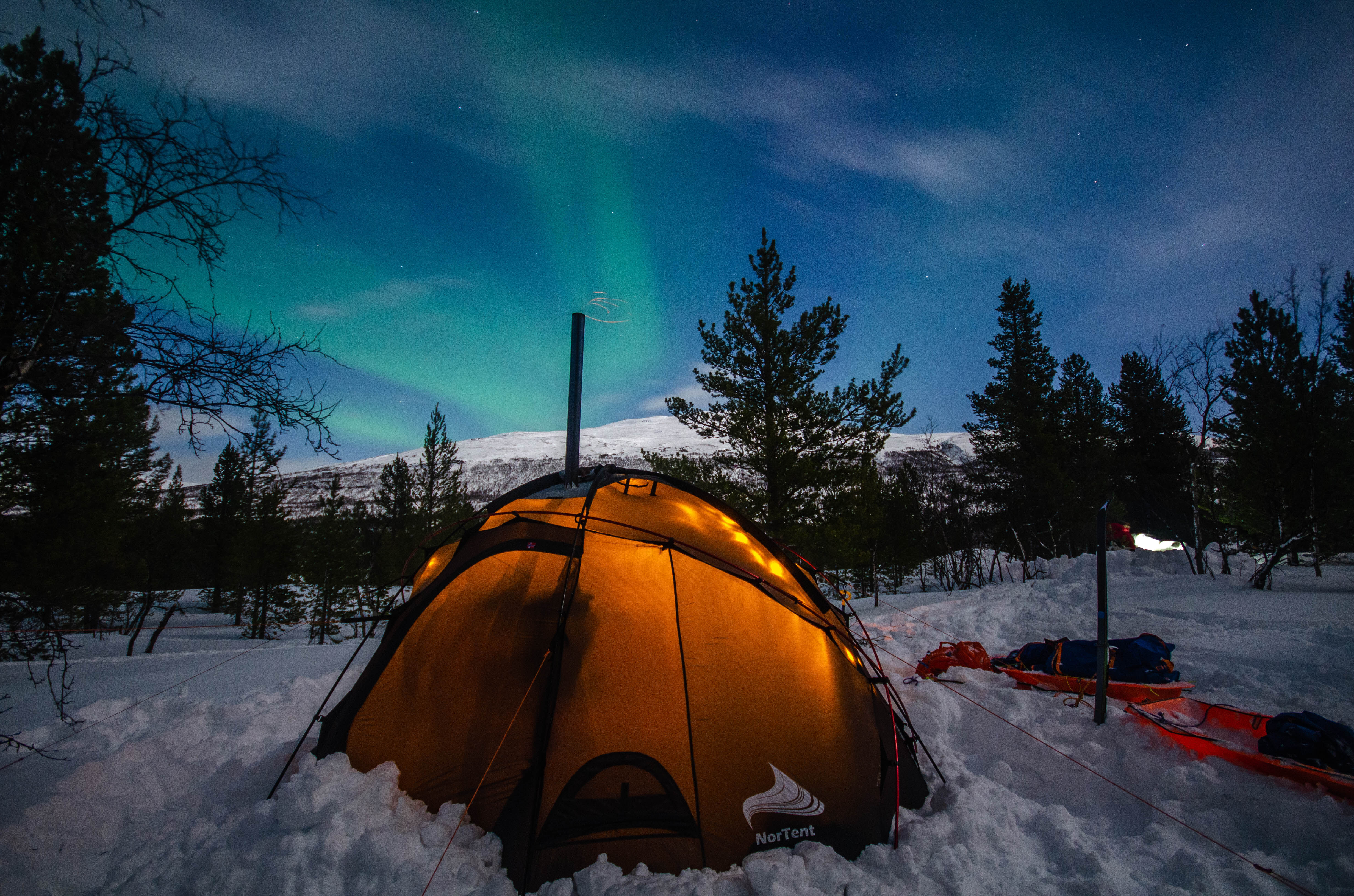 NORTENT】Gamme4 ARCTIC 【ノルテント/ギャム4アークティック】 | ye