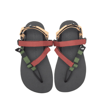 【PYOPP FLEDGE（ピオップフレッジ）】 Jejak Lite （ジェジャク ライト）Limited color