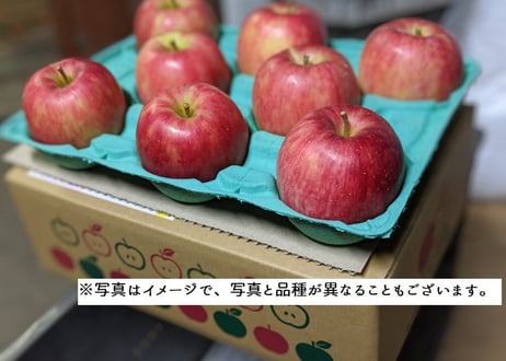 シナノスイート 特秀(贈答用)