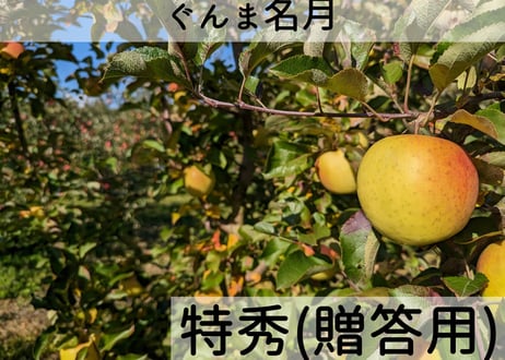 M2 ぐんま名月　特秀5キロ箱(12～18玉)