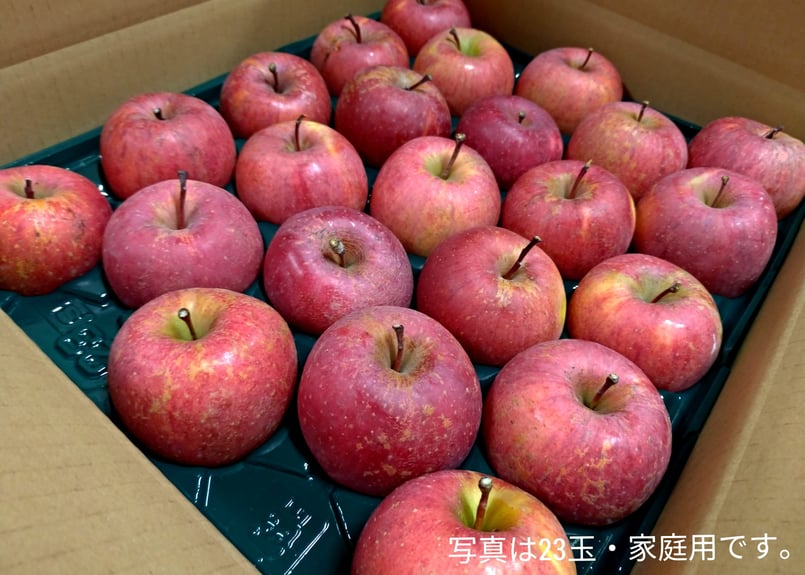 12/15発送開始】サンふじ 家庭用 5キロ箱 小玉（23～25玉） | 信州