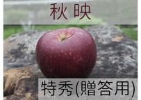 秋映 特秀(贈答用)【オンラインストア限定】