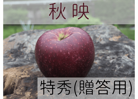 秋映 特秀(贈答用)【オンラインストア限定】