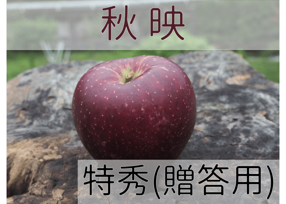 602d566c935fcc120284407a