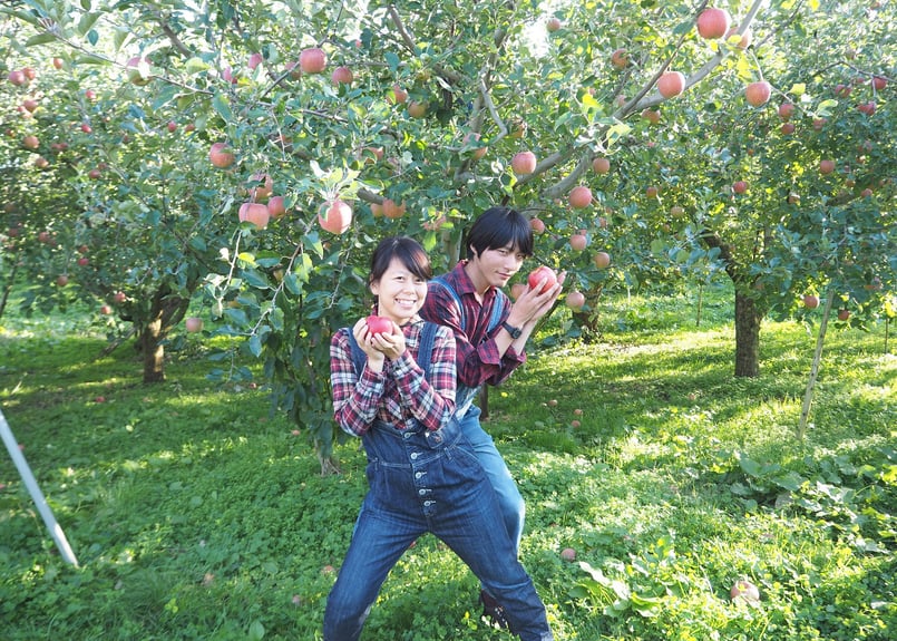 12/15発送開始】サンふじ 家庭用 5キロ箱 小玉（23～25玉） | 信州