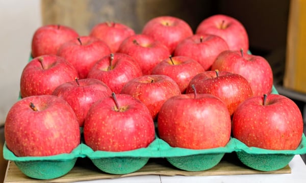 リンゴ商品 信州・マルサ果樹園 オンラインストア