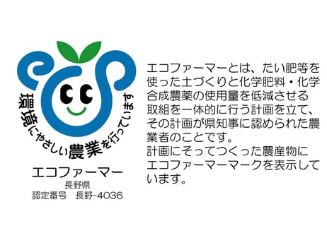 シナノスイート 特秀(贈答用)