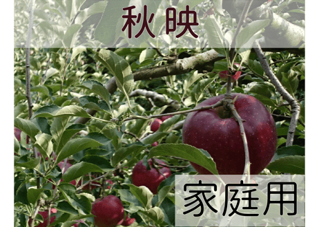 秋映 家庭用(訳あり)