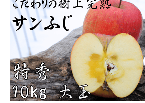長野県産 サンザシ 3kg さんざし（山査子）パウダー 25g 国産 長野県南