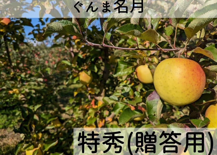 68ea878ef25781f5c275840f