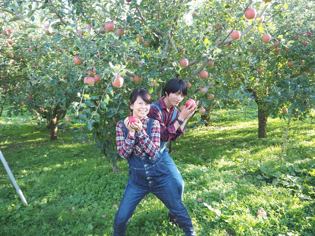 lc☆信州産 シナノゴールド 約20キロ（箱込） 楽天市場