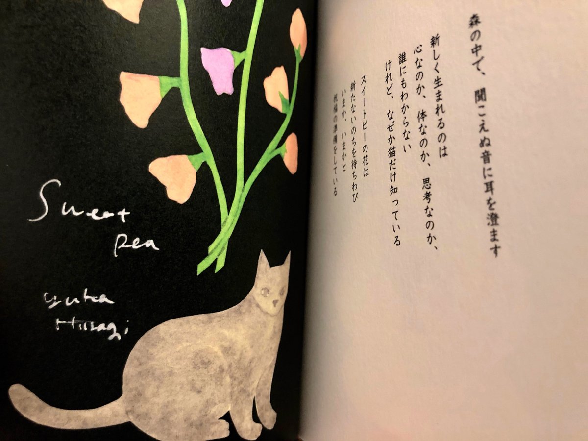 柊有花さんサイン入り＊新品】花と言葉 | ひるねこBOOKS