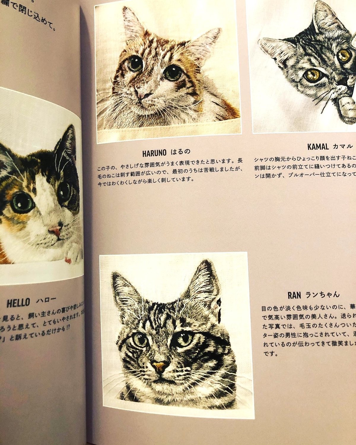 わたしにもできる! ねこ刺繍レッスン 新品】わたしにもできる！ねこ刺繍レッスン | ひるねこBOOKS