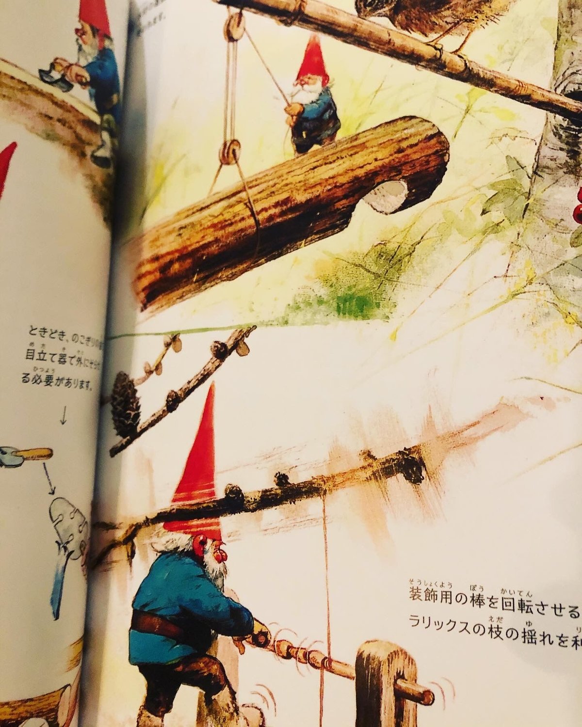 新品】秘密のノーム 新装愛蔵版 | ひるねこBOOKS