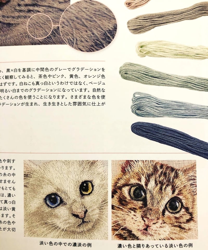 新品】わたしにもできる！ねこ刺繍レッスン | ひるねこBOOKS