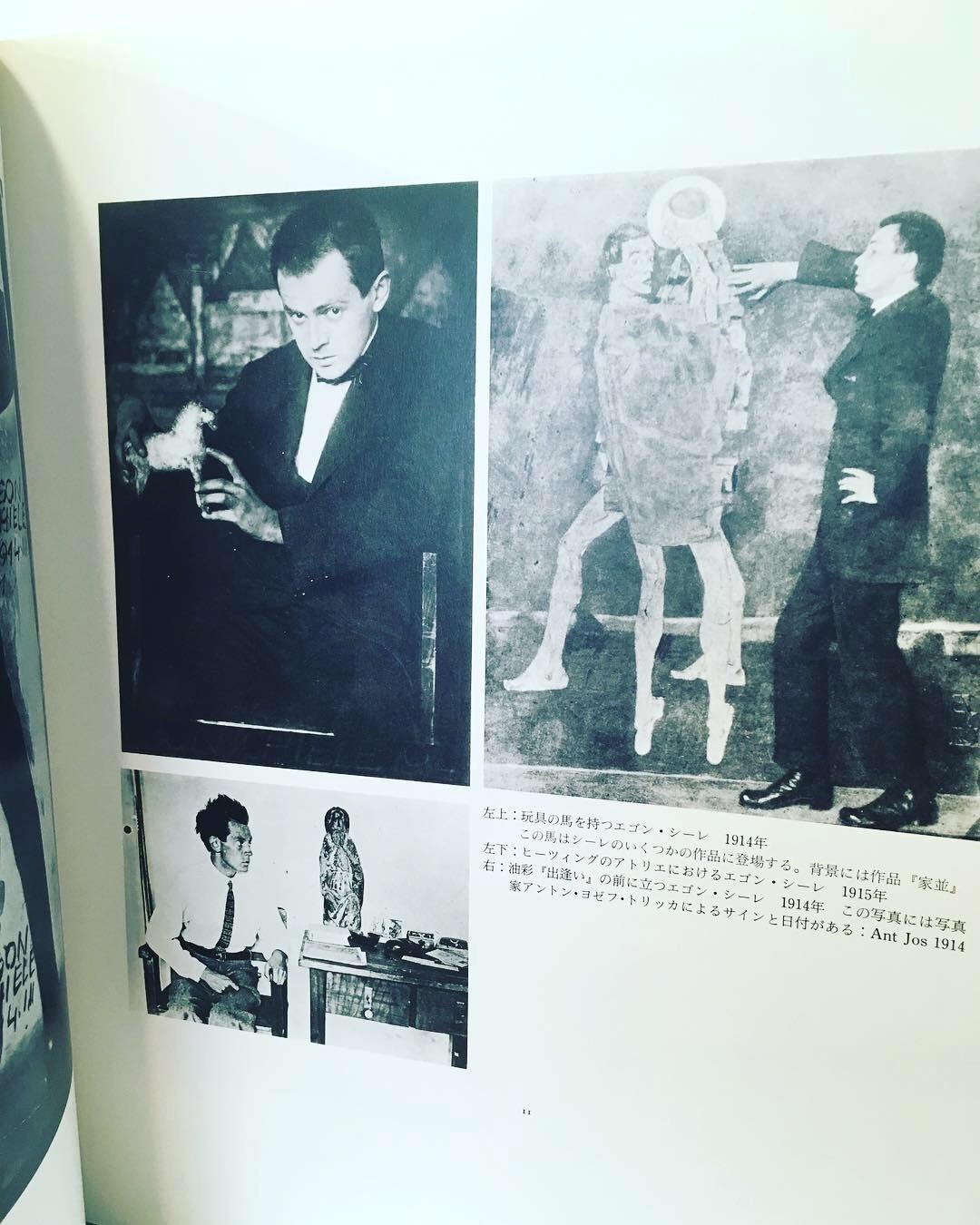 エゴン・シーレ画集　エルヴィン・ミッチ著　坂崎乙郎　監修翻訳 古書 dessin: エゴン・シーレ画集（エルヴィン・ミッチ,坂崎乙郎