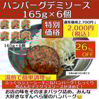 ハンバーグデミソース 165g×6個（冷凍）送料別　2〜3営業日に発送予定(土日祝除く)
