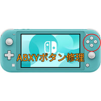 (ジャンク品) ニンテンドー スイッチ ライト ソフト読み込み時エラー ジャンク品) ニンテンドー スイッチ ライト ソフト読み込み時