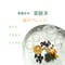春夏秋冬　薬膳茶　夏のブレンド　Detox