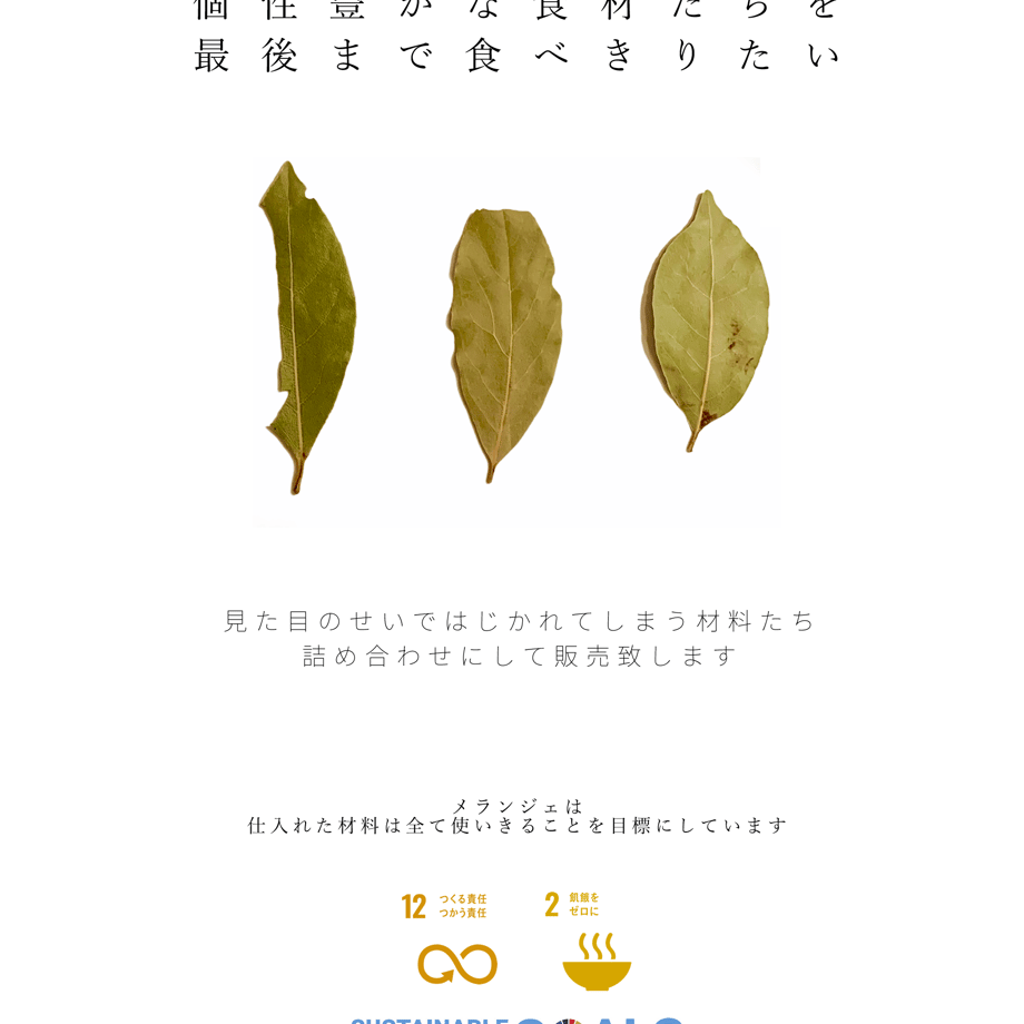 63044c1d73f98a265e2e735e