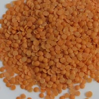 レンズ豆　セレクトシリーズ　150g
