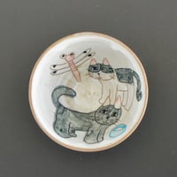 Koji 茶碗 b007
