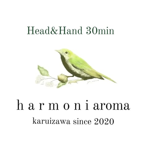 【サロンメニュー】Head＆Hand  30min ＋30min（カウンセリング・Relax Time）