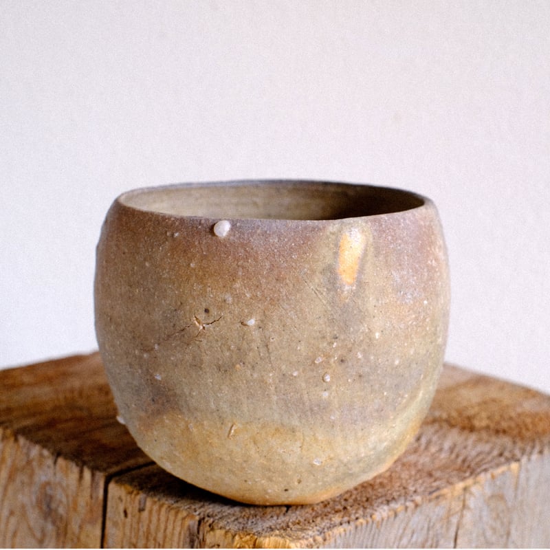 信楽　奥田博土（ひろむ）　茶碗 信楽 奥田博土（ひろむ） 茶碗