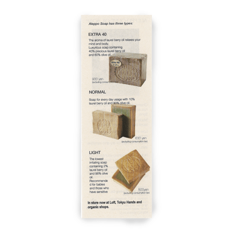 English brochure