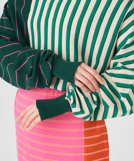CRAZY BORDER  SKIRT/DRESS