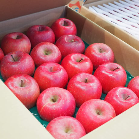 RINGOTOおすすめのりんご（品種指定なし）　5kg：15〜19玉　10月〜11月中発送