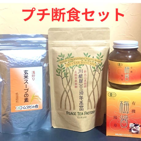 月のリズムで断食　12か月コース