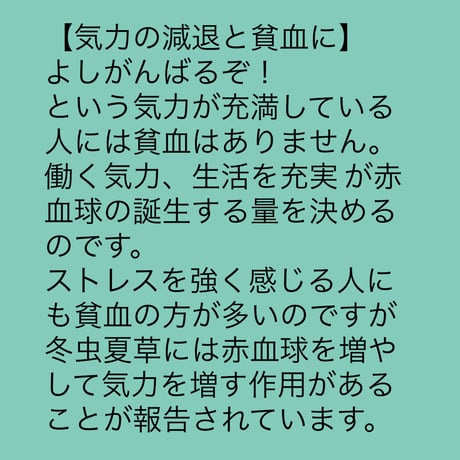 期間限定割引！蚕虫夏草(さんちゅうかそう)