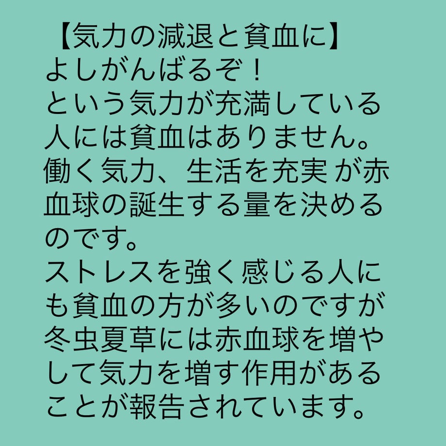 62b93f5141e8c064cf6b3b08