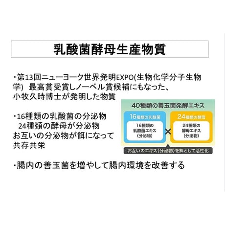 まとめ値引き！オーガニックフードレベルの歯磨きジェル・バイオジェニックペーストα (5個)