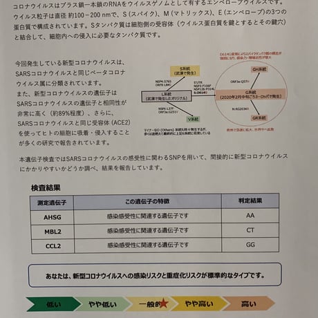 コロナ、認知症、AGA等7のリスク検査！スタンダード遺伝子検査