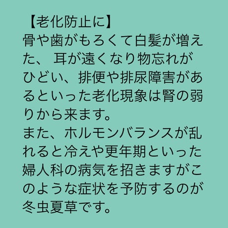 期間限定割引！蚕虫夏草(さんちゅうかそう)