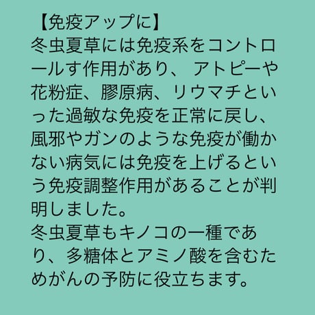 期間限定割引！蚕虫夏草(さんちゅうかそう)