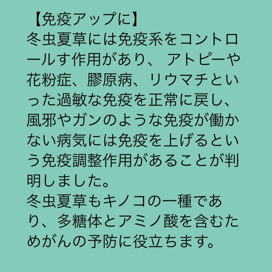 62b93f5141e8c064cf6b3b08