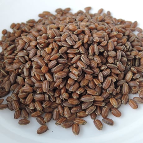 浅煎り玄米スープの素　1Kg