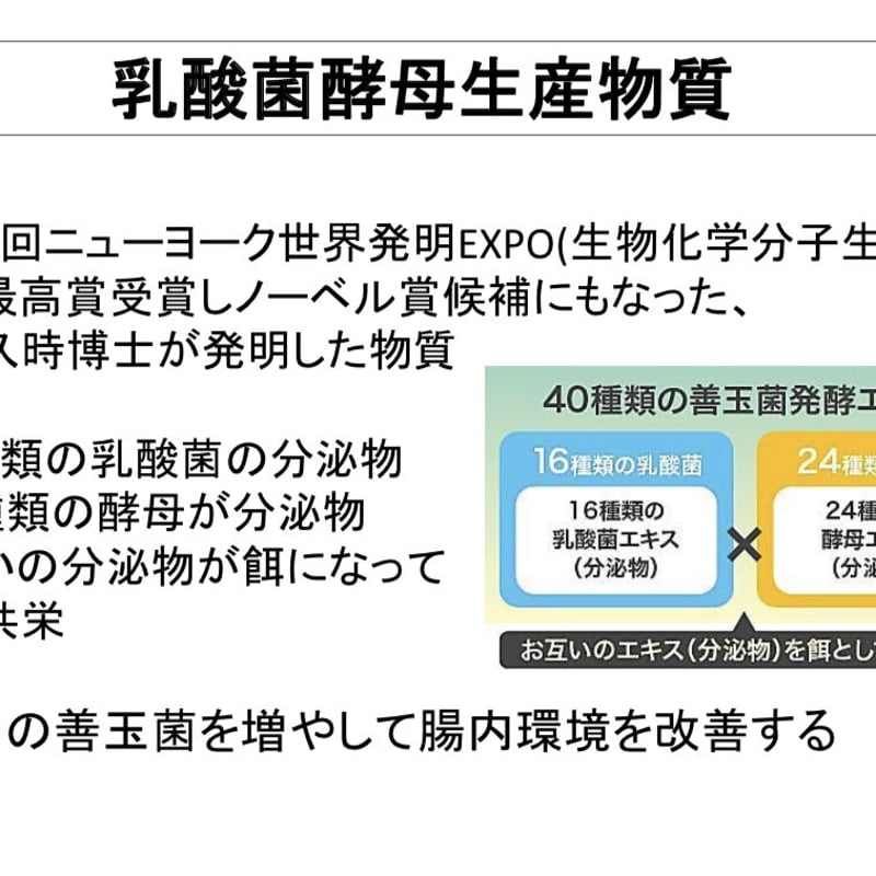口腔内と腸内フローラを整える乳酸菌生産物・ロイテリ菌・クリスパタス 
