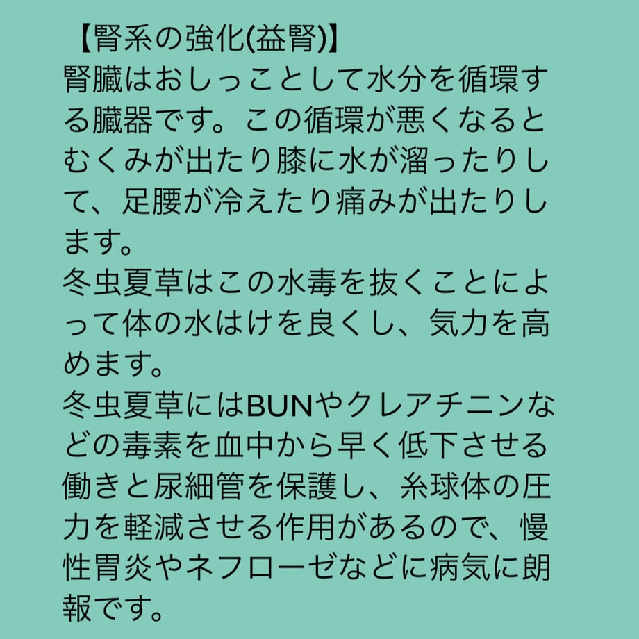 62b93f5141e8c064cf6b3b08