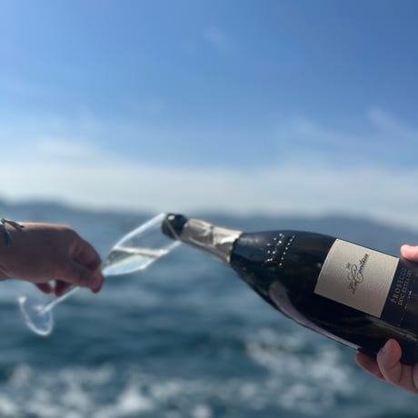 【PROSECCO DOC】プロセッコ　エクストラドライ96本セット
