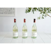 女性やお酒の弱い方に大人気❗️微炭酸白ワイン 6本セット