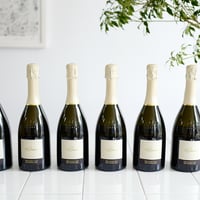 【PROSECCO DOC】プロセッコ　エクストラドライ6本セット