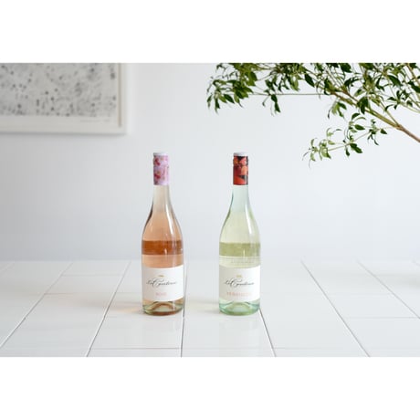 女性やお酒の弱い方に大人気❗️いいとこどりの微炭酸ロゼ・白ワイン 6本セット
