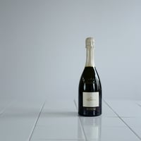 【業務用】プロセッコと微炭酸ロゼワイン24本セット